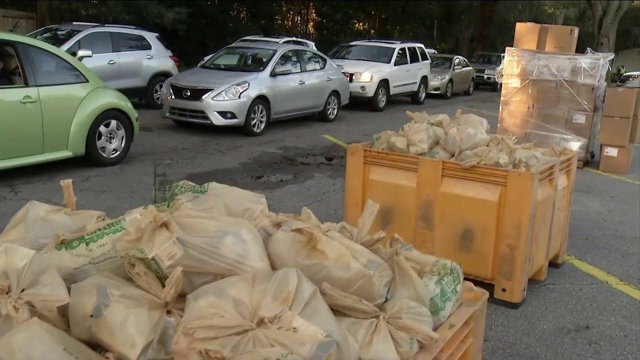 Hundreds line up for food giveaway