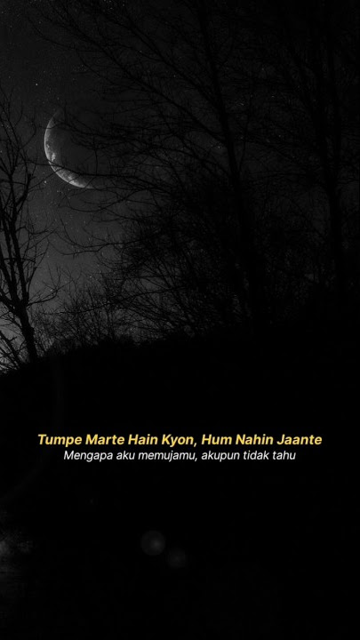 lagu india enak di dengar lirik terjemahan #chaltechalte #laguindia #laguviral #storywa