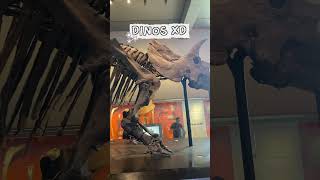 Museum field trip :D
