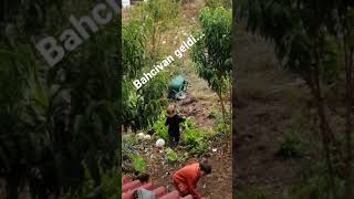 Bahcivan Geldi. 🤣🤣