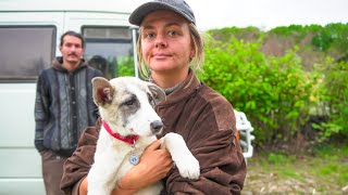 Der große Tag für unseren Welpen von der Straße beim Vanlife zwischen der Türkei & Griechenland