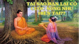 Kiếp Trước Bạn Là Ai Và Bạn Muốn Kiếp Sau Mình Như Nào? Hãy Nghe Lời Phật Dạy Về Nhân Quả Luân Hồi