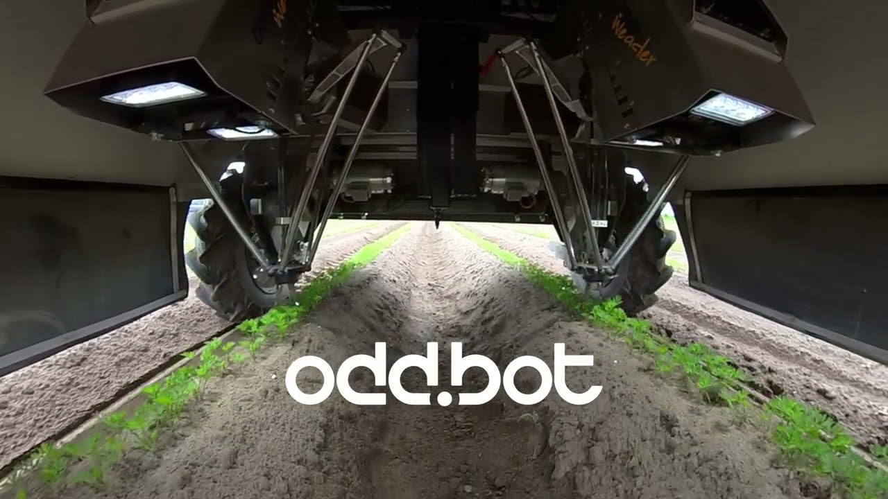 Under the Maverick: Watch the Weader Weed (Raw footage)