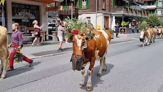 Lauterbrunnen Cow Parade Sept 2022