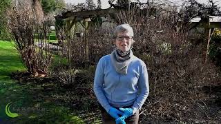 Horticulture Tour