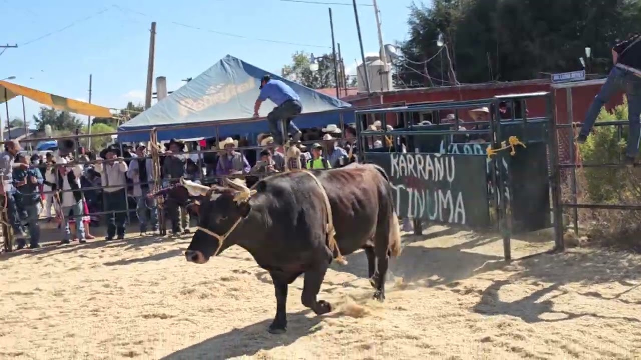 Primer año de carnaval ,en la bonita comunidad de loma reyes san juan mixtepec juxtlahuaca