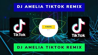 DJ Amelia Slowed Edit TikTok Remix Full Bass