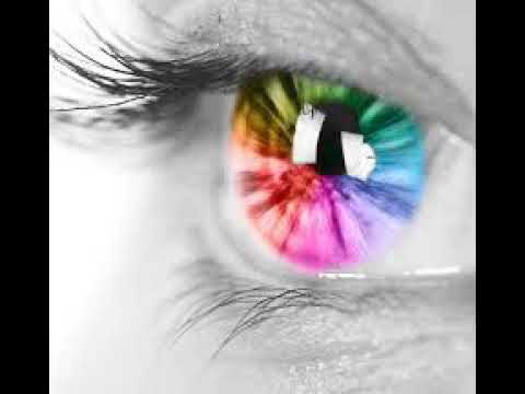 Tuğba Yurt Kurşuni Renkler 