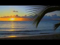 Waves mood and music  sunset at beach  hawaii