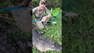 Mr Toothy and the Spear Hunter
