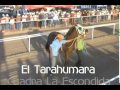 El Alebrije Vs El Tarahumara | Carrera del Siglo | Carreras de Caballos