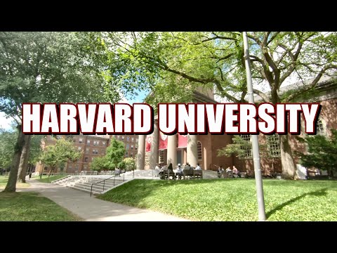 Video: Chuyến tham quan Harvard bắt đầu từ đâu?