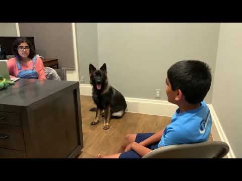 Abhijay Kodali — Bee on ESPN: Zeus and Abhijay Kodali