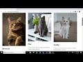 Happy Paws Demo - A Jamstack e-commerce app