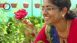 Terrace Gardening | Meet one of the most successful Kitchen Gardener | Sridevi