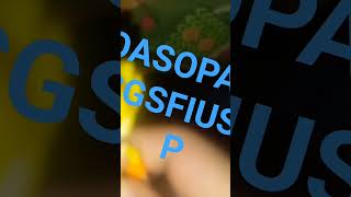 DASOPA GSFIUS P
