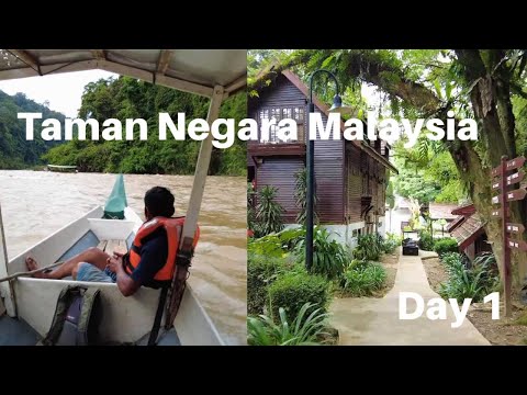 Taman Negara (National Park) - 3D2N tour complete guide (Day1)