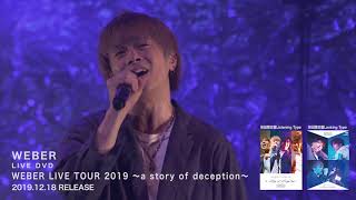 WEBER　LIVE DVD「WEBER LIVE TOUR 2019 ～a story of deception～」 Trailer