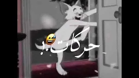 مهرجان دلع بنات على طريقة توم وجيري 