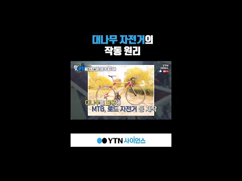 대나무 <strong>자전거의</strong> 작동 원리 #shorts