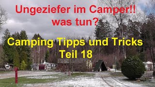 Camping Tipps Ungeziefer