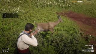 [#RedM Scripts] Gather animals + plants