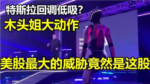 【特斯拉人事巨震】木头姐减持，跟吗？美股最大的不确定是这家公司，你有吗？ #特斯拉股票 #美股 #股哥说美股 #tesla #马斯克 #AI #FSD #木头姐 #Robotaxi