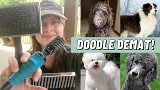 DOODLE DEMAT! Tools, techniques, and demo for brushing and dematting a dog with long, fluffy fur