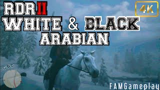 Red Dead Redemption 2 (PS5) WHITE ARABIAN HORSE and BLACK ARABIAN HORSE screenshot 5