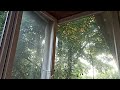 16.07.25г  г. Челябинск &quot;...Кто ещё... НЕ видел!..&quot; - 2 🥰☀🎼🌈💯🔥💕💥 Видеоканал Ютуба-Наталья Агальцова🌟