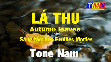 Lá thu - Autumn Leaves