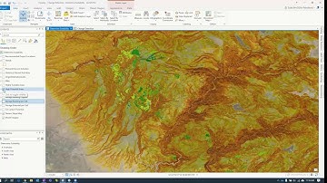 Imagery and Change Detection - New Advances in Forest Inventory