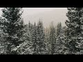 Miniature de la vidéo de la chanson Tundra