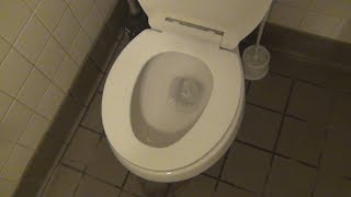 4. 1.28 GPF Project Source Toilet