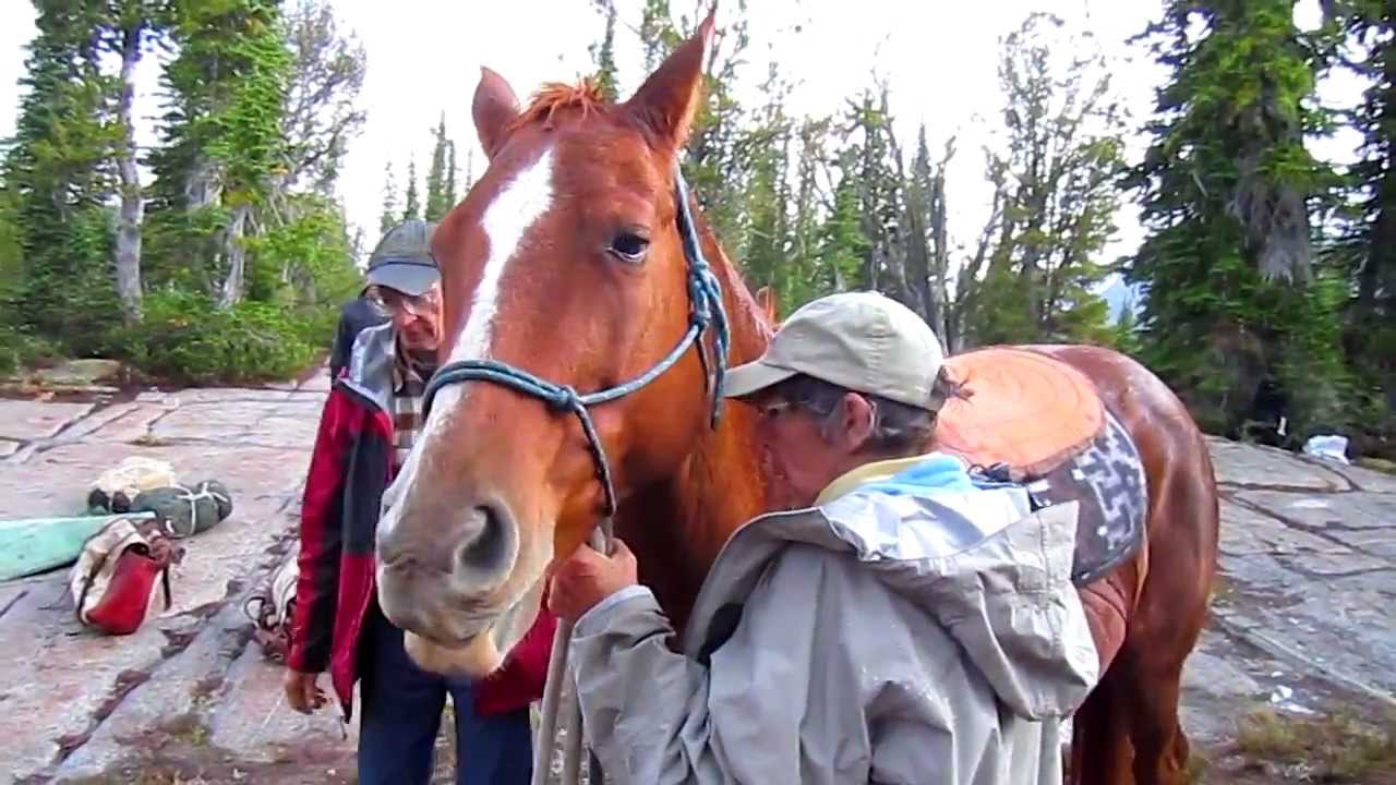 Eagle Cap Wilderness Area (Part II) East Peak/OR for Summits on the