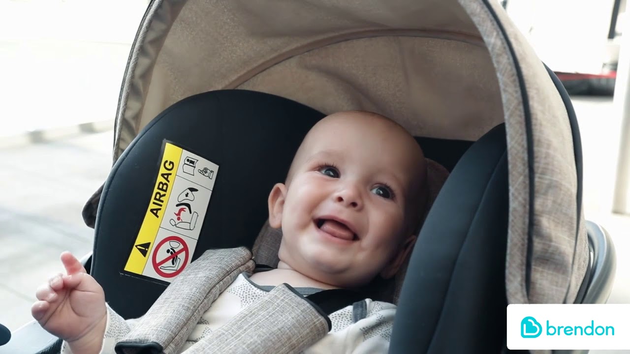 hauck maxan travel system