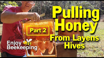 Pulling Honey Part 2 11 06 2021
