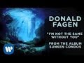 Capture de la vidéo Donald Fagen - I'm Not The Same Without You