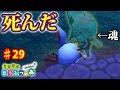 【訃報】えそそがサソリに殺された ♯29【とびだせどうぶつの森 実況プレイ】