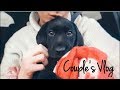 PICKING UP OUR PUPPY... FIRST NIGHT IN OUR NEW HOUSE |  Couple's Vlog