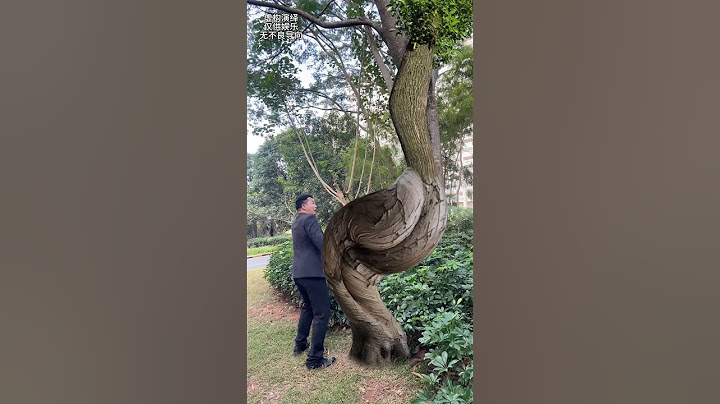 This tree is no longer convenient Magic trees become refined mobile phone special effects