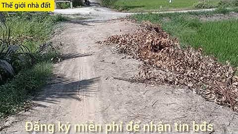 Bán đất thổ cư tân Bửu bến lức Long An.