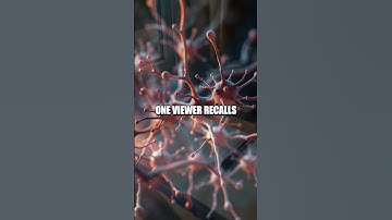 Memory Marathon Four Weeks to Sharper Recall