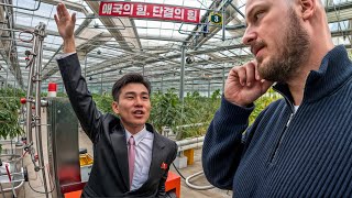 North Koreas Newest Farm Where Plants Grow On Propaganda  