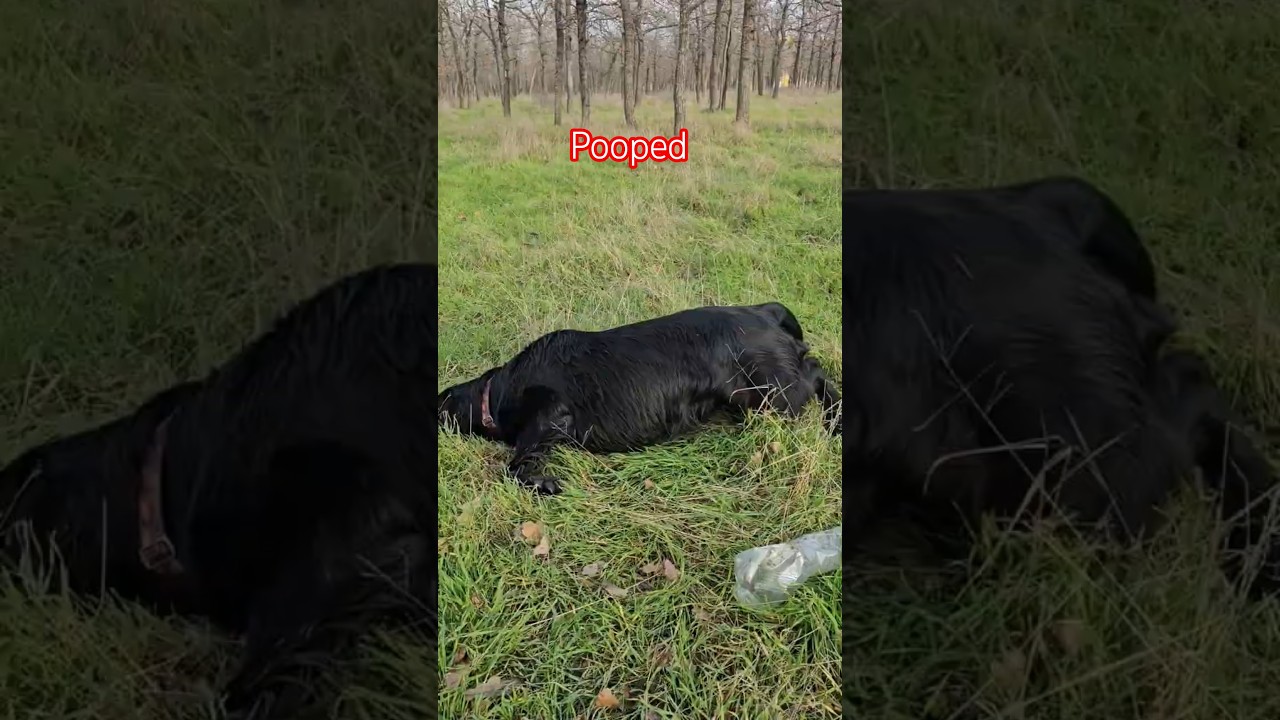 🔋Tired of being tired🪫