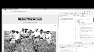 Tribute page (Free code camp project)