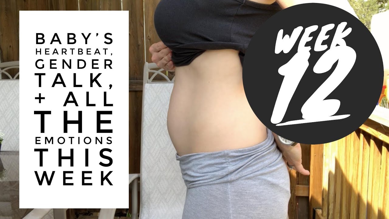 pregnancy-vlog-week-12-midwife-appointment-symptoms-gender