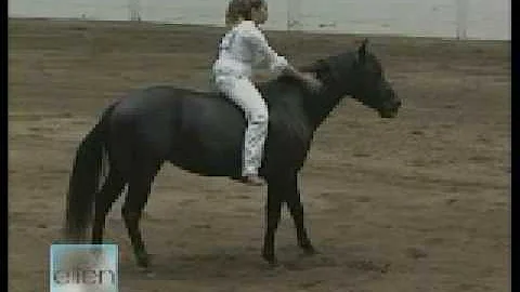 Stacy Westfall on the Ellen Show