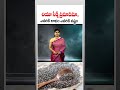 చియా సీడ్స్ ప్రమాదమా..ఎవరికి లాభం ఎవరికి నష్టం | Chia Seeds Uses And Side Effects | CVR Health