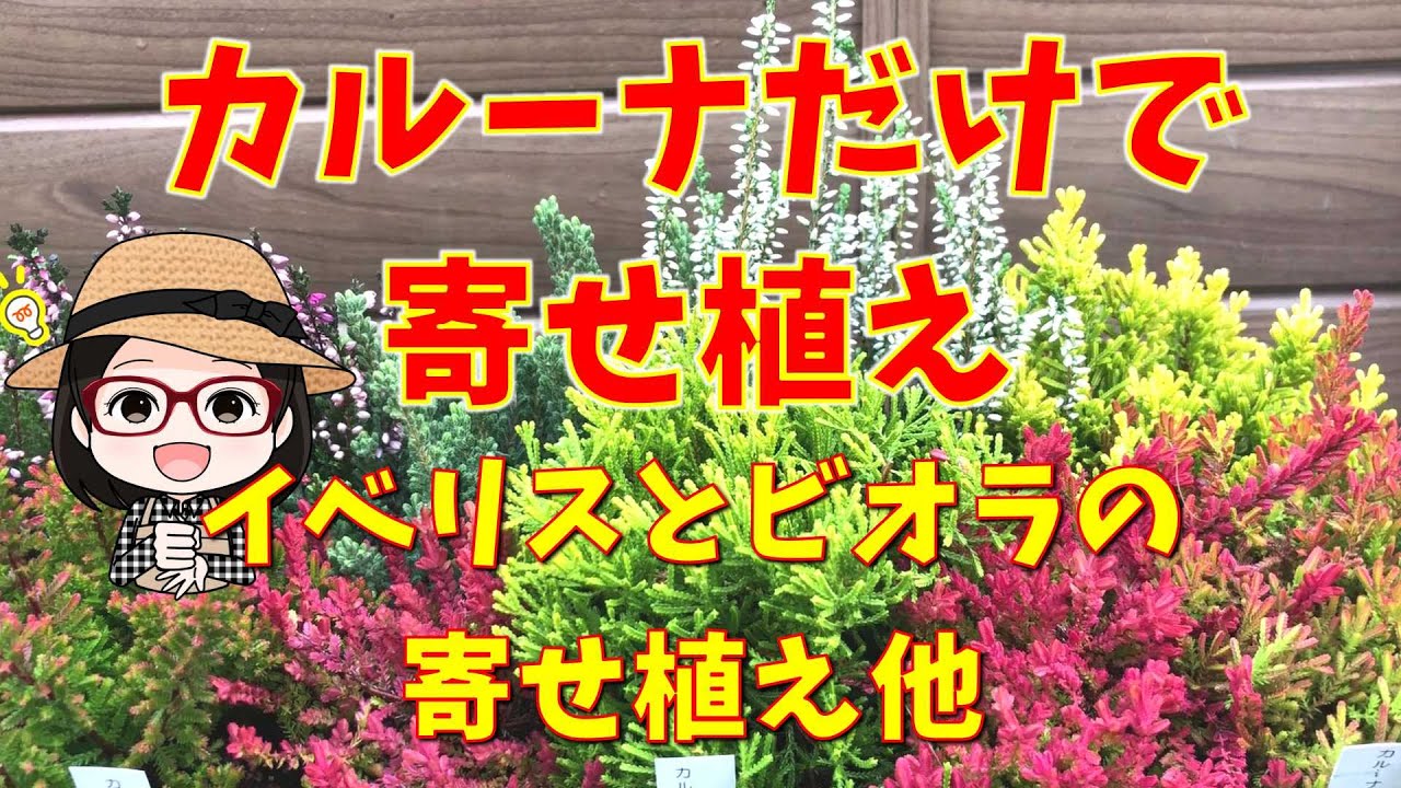 Colorful flower arrangements without flowers. 〇 Ultra-low